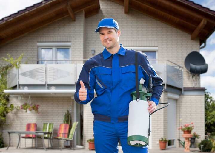 bat removal bridgeville de