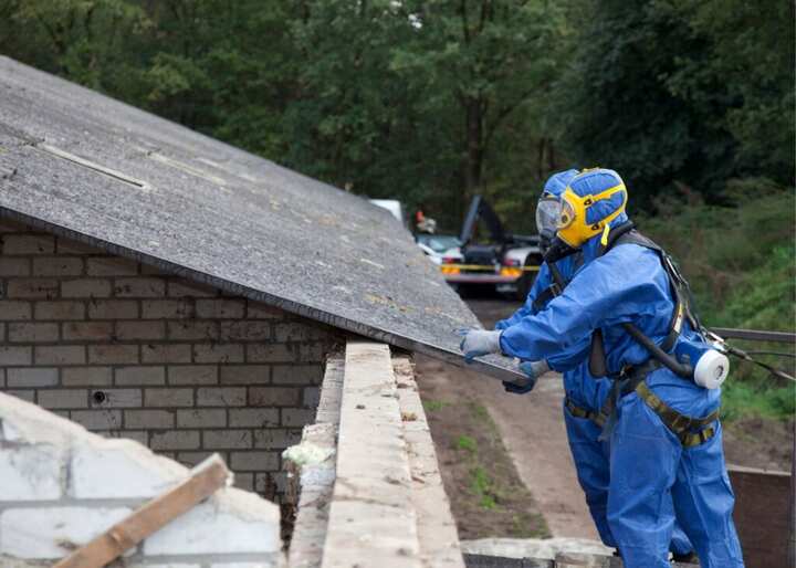bat removal bridgeville de